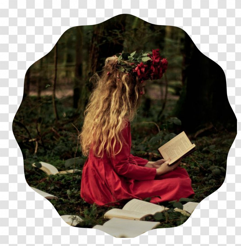Book The Wrath & Dawn Reading Journey To Center Of Earth Woman - Frame - Cottage Transparent PNG