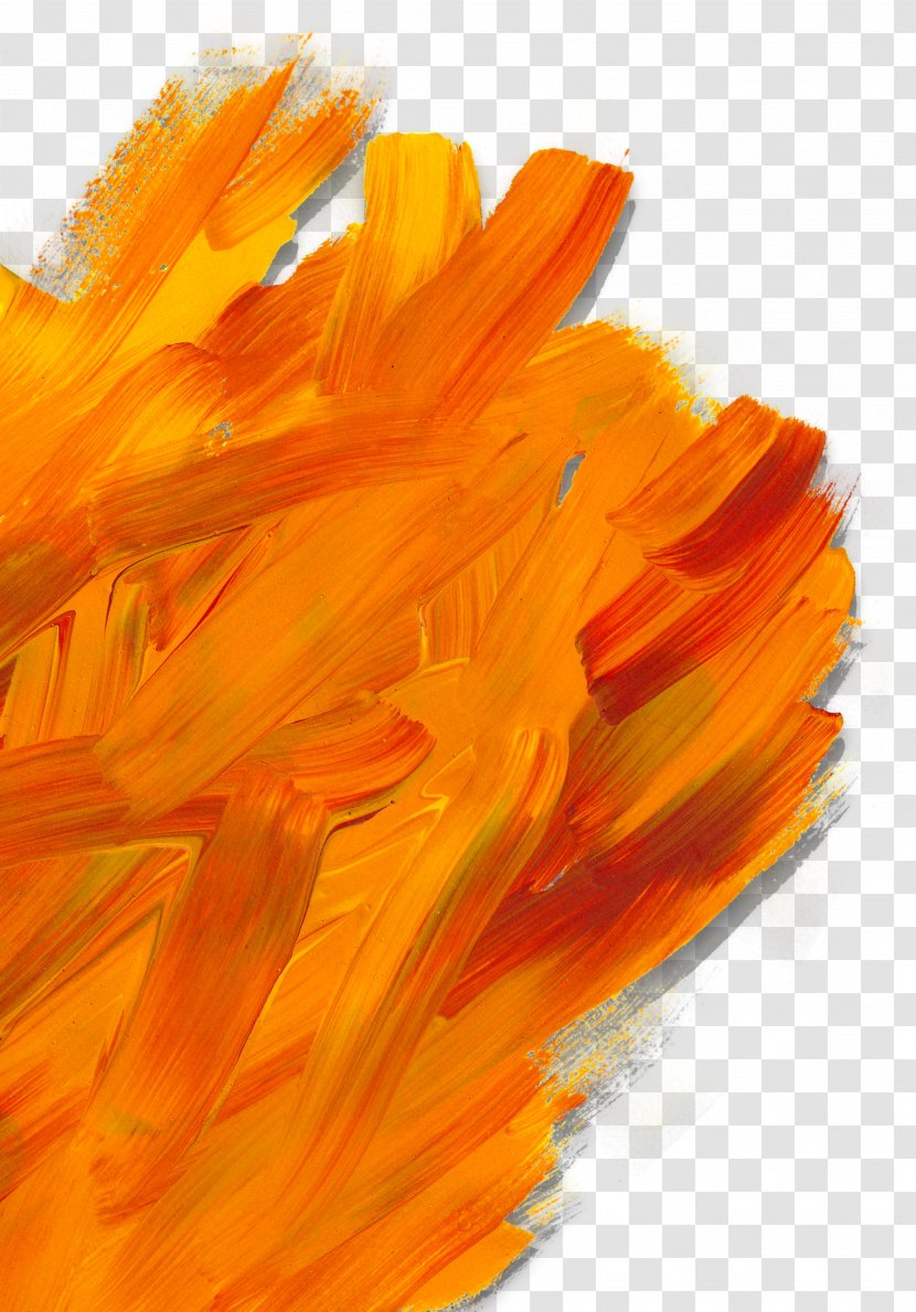 Oil Painting Brush - Flower - Orange Graffiti Transparent PNG