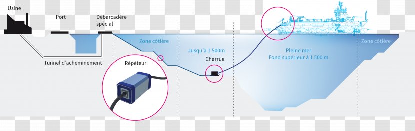 Brand Service Research Technology - Organization - Fibre Optic Transparent PNG