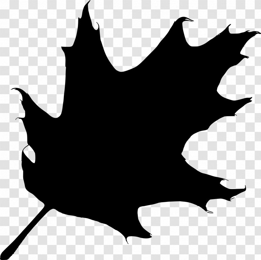 Silhouette Maple Leaf Clip Art - Black And White Transparent PNG