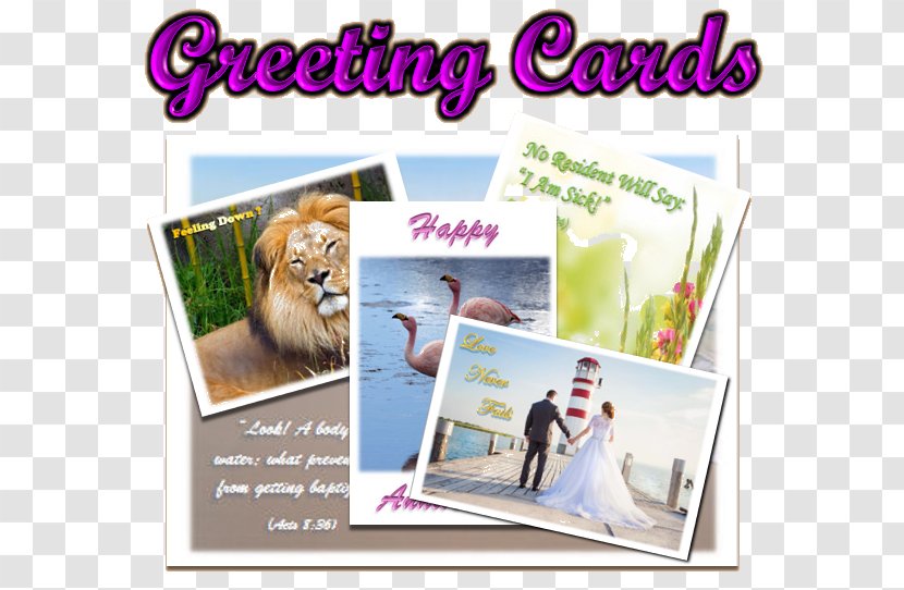 Greeting & Note Cards Paper Graphics Letter - Wish - Purple Christmas Card Transparent PNG