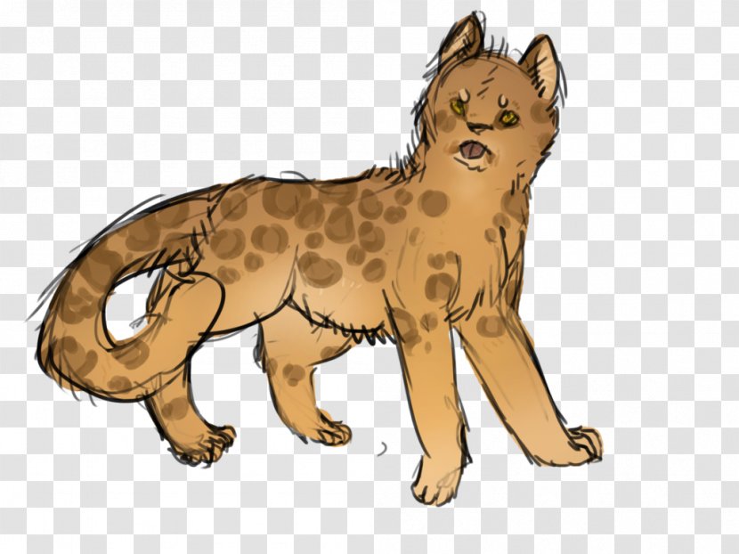 Whiskers Cheetah Cat Red Fox Dog - Puma Transparent PNG