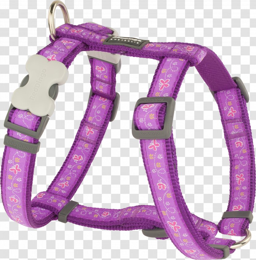 Dog Harness Dingo Puppy Collar Transparent PNG