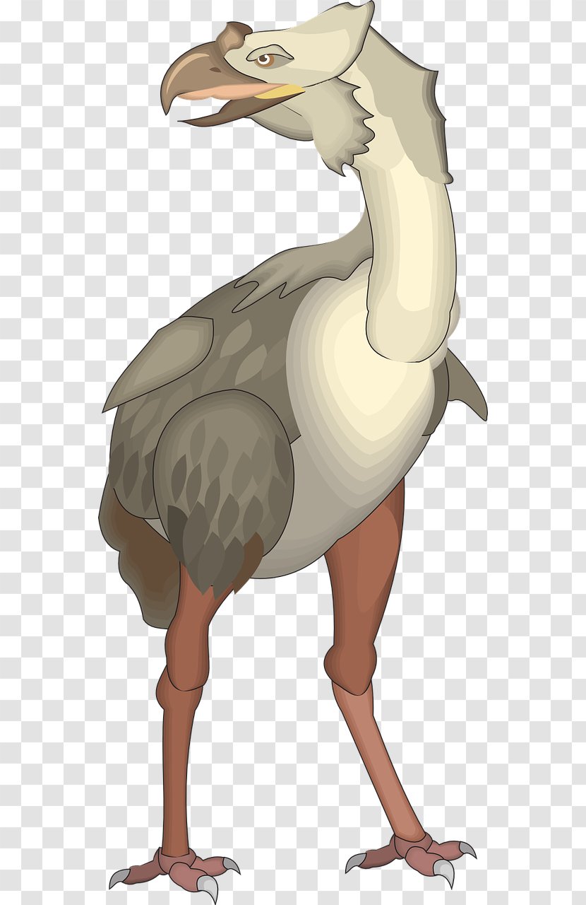 Common Ostrich Bird T-shirt Dinosaur Apatosaurus - Art Transparent PNG
