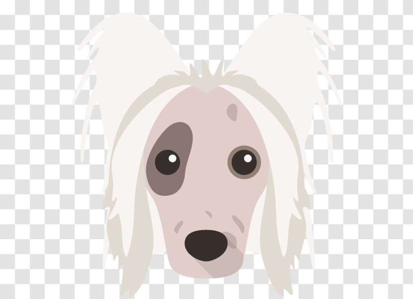 Eye Cartoon - Saluki - Whiskers Companion Dog Transparent PNG