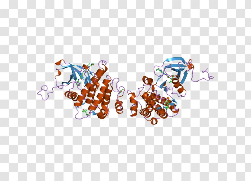 ABL2 Oncogene Protein - Text - Kinase Transparent PNG