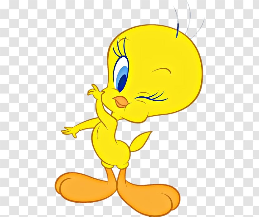 Tweety Sylvester Cartoon Clip Art - Carnivoran - Character Transparent PNG