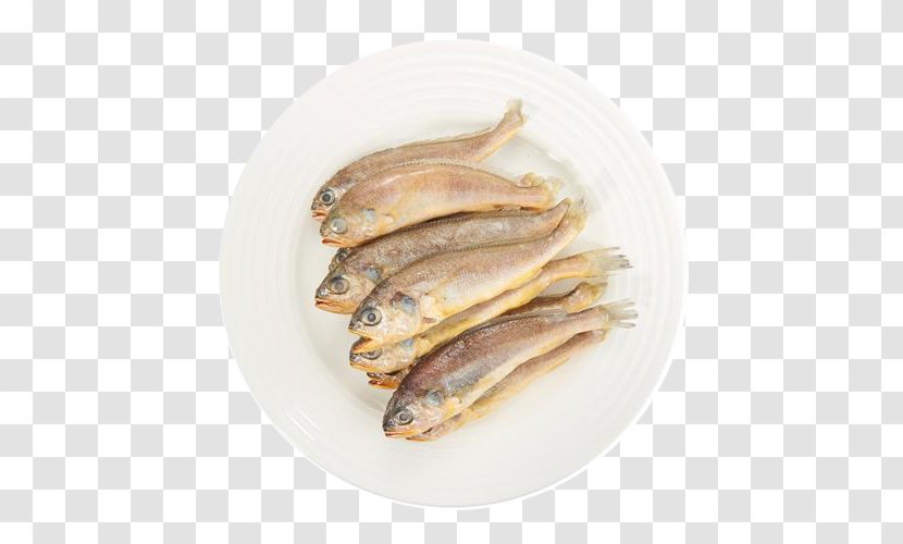 Larimichthys Crocea Drums Polyactis - Fish - Free Dried Sea Buckle Image Transparent PNG