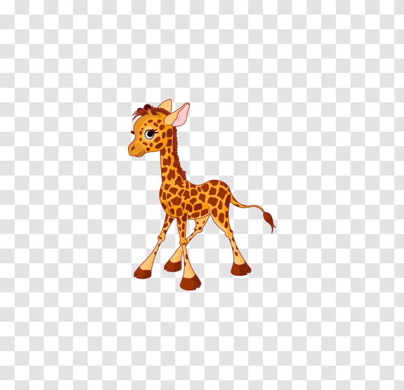 Animal Illustrations Giraffe Clip Art - Mammal Transparent PNG