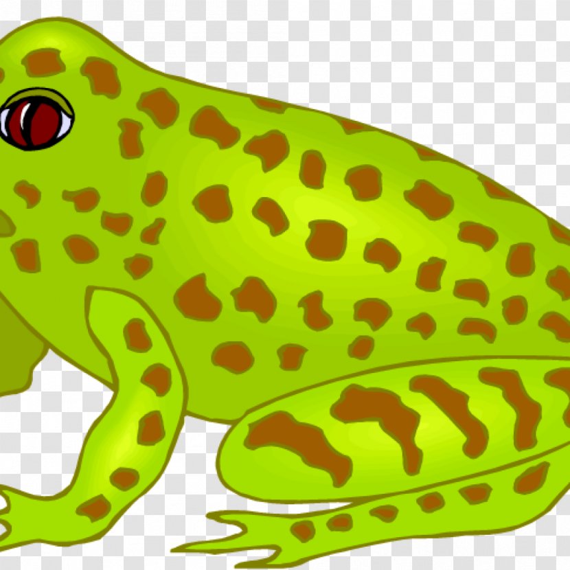 True Frog Amphibians Southern Brown Tree Transparent PNG