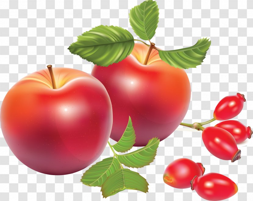 Rose Hip Seed Oil Tea Dog-rose Marmalade - Berry - Apple Transparent PNG