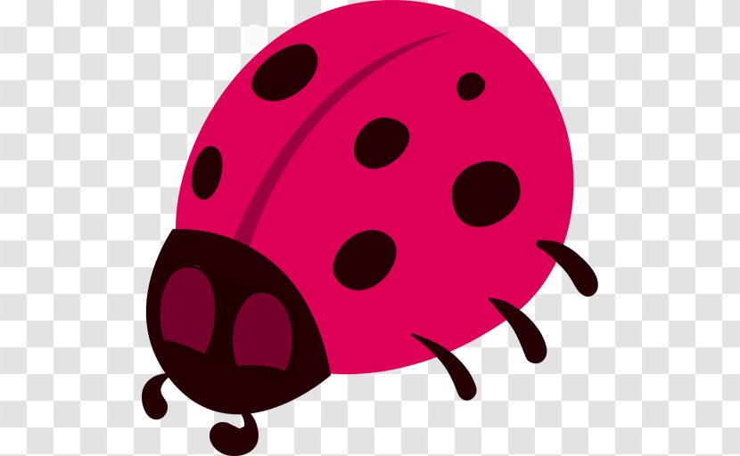 Ladybird Beetle Theme Transparent PNG