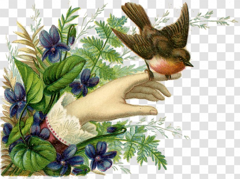 Hummingbird European Robin Flower Ceramic - House - Vintage Card Transparent PNG