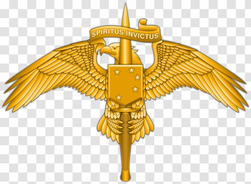 Marine Raider Regiment United States Corps Forces Special Operations Command - Beak - Military Transparent PNG
