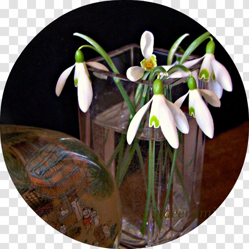 Floral Design Snowdrop - Flora Transparent PNG