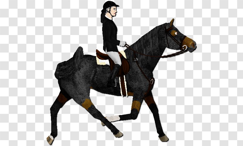 Hunt Seat Stallion Equestrian Rein Horse - Supplies Transparent PNG