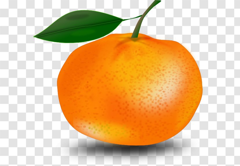 Tangerine Mandarin Orange Clip Art - Food - Guava Transparent PNG