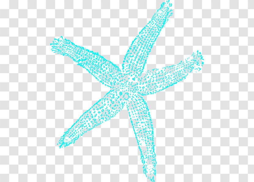 Starfish Drawing Blue Clip Art - Green Transparent PNG