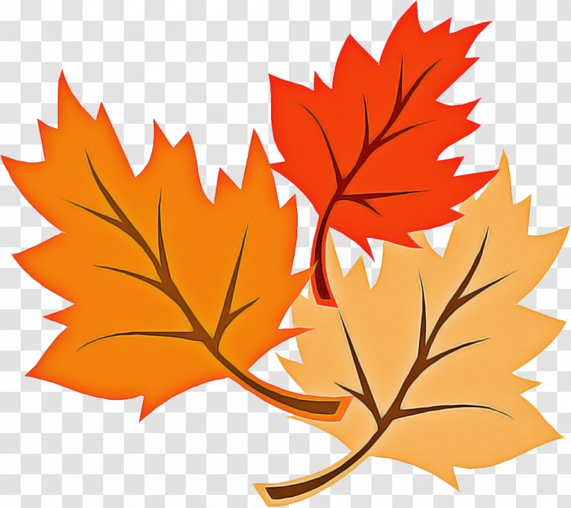 Autumn Leaves Falling - Planetree Family Twig Transparent PNG