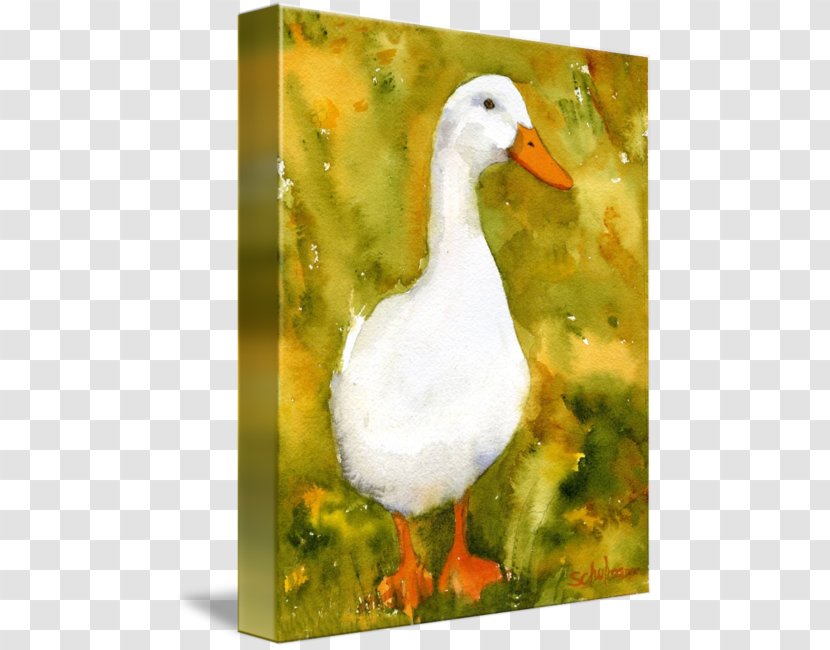 Duck Goose American Pekin German Painting - Bird - Watercolor Transparent PNG