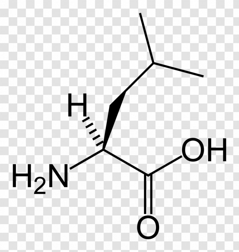 Alanine Leucine Amino Acid Serine Skeletal Formula - Flower - L Transparent PNG
