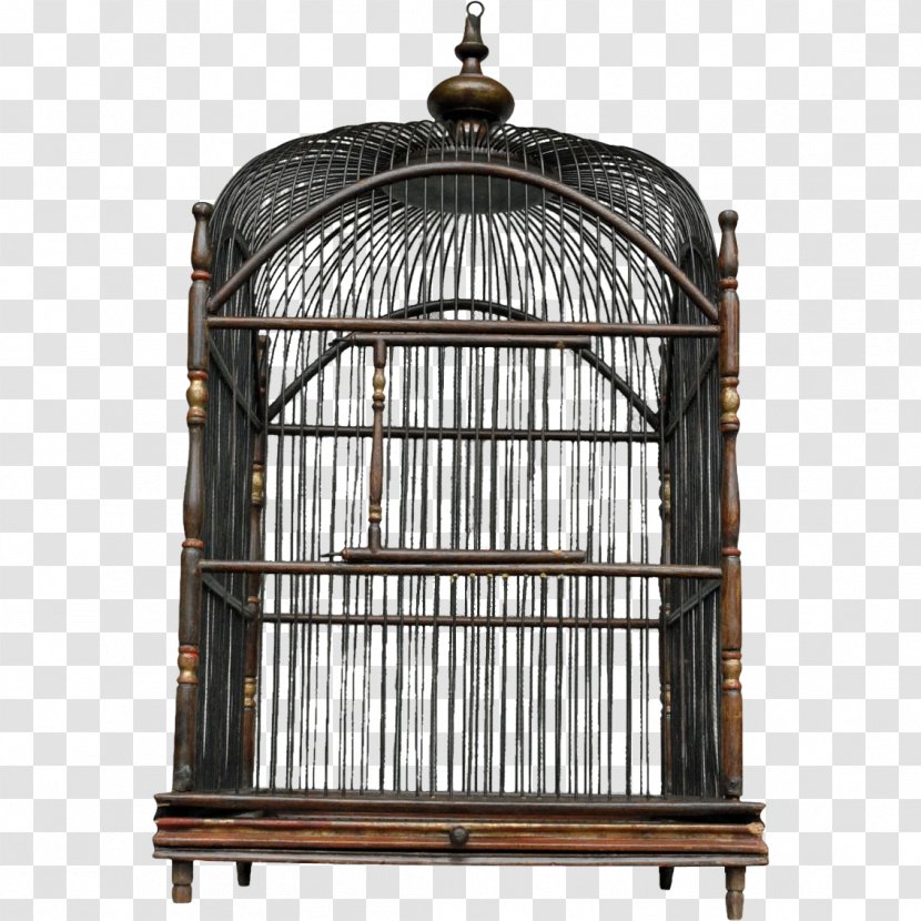 Birdcage Parrot Victorian Era Cockatiel - House - Bird Cage Transparent PNG