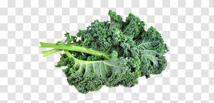 Minestrone Kale Leaf Vegetable Smoothie Transparent PNG