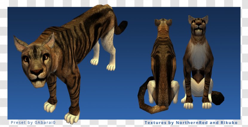 Tiger Cat Terrestrial Animal Wildlife Puma - Carnivoran - May 10 Transparent PNG