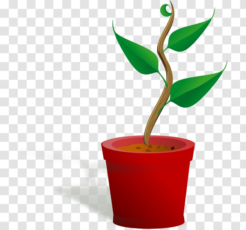 Houseplant Flowerpot Clip Art - Fern - Plant Transparent PNG