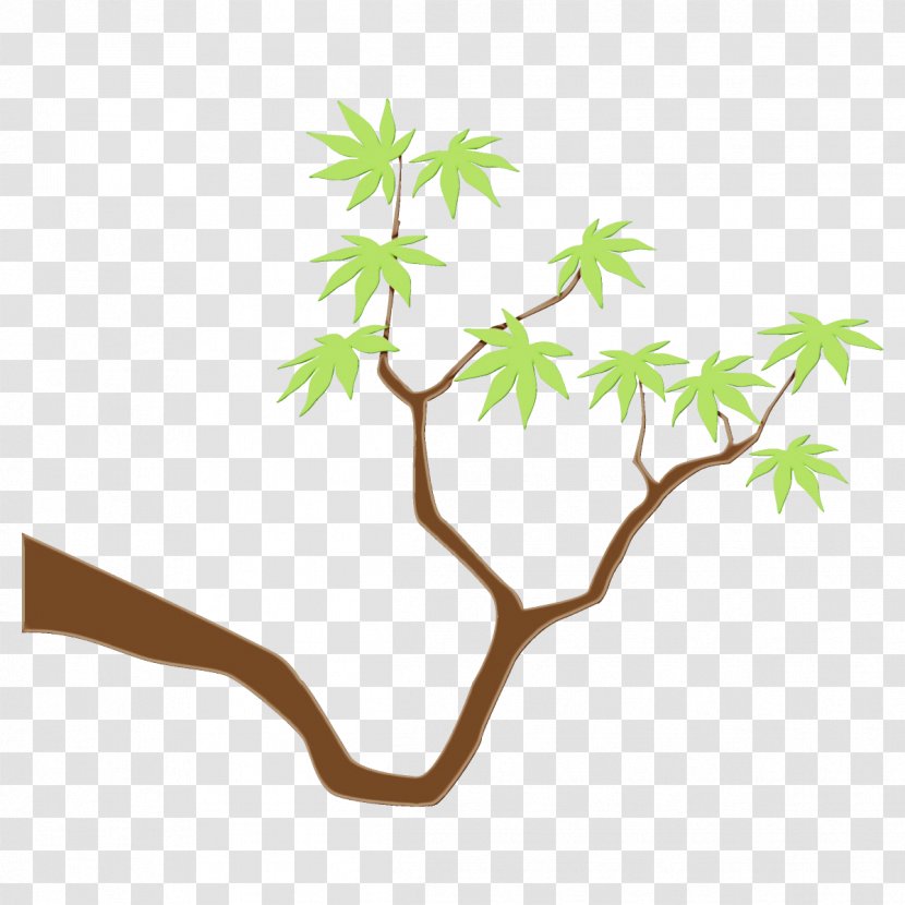 Leaf Tree Plant Branch Stem - Twig Flower Transparent PNG