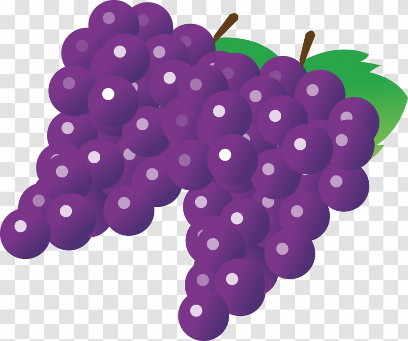 Juice Wine Grape Fruit - Grapevine Family - Overhead Transparent PNG