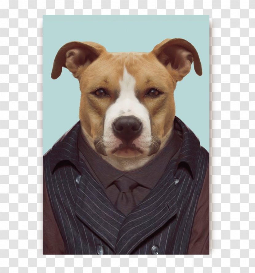 American Staffordshire Terrier Bull Bulldog Bedlington Boston - Animal - Bear Transparent PNG