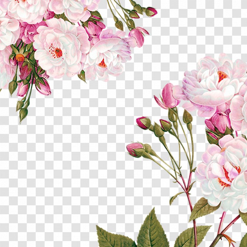 Centifolia Roses Paper Flower Garden Party - Floral Design - Flowers Decoration Material Transparent PNG