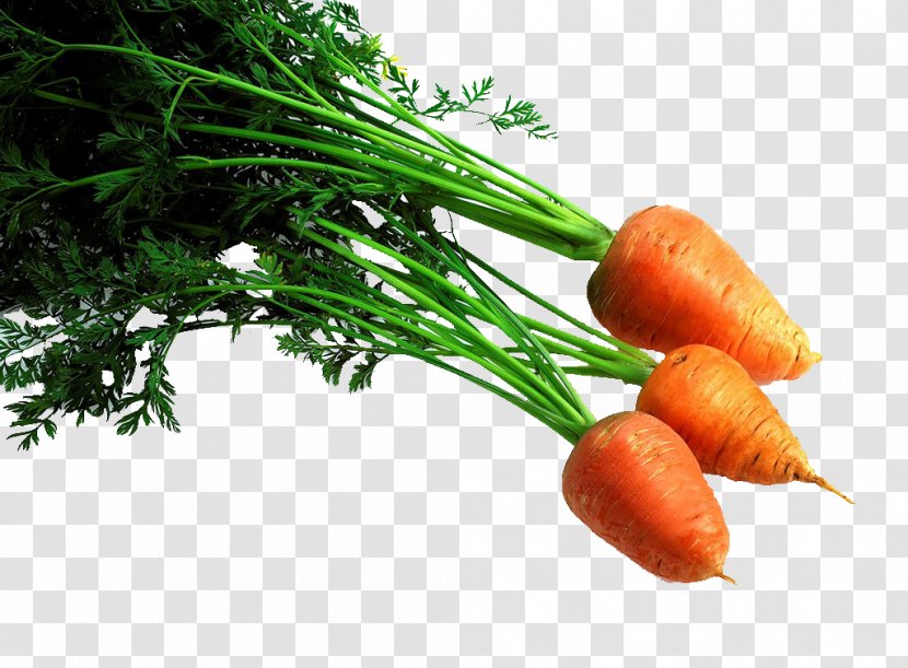 Baby Carrot Vegetable Fruit - Canning Transparent PNG