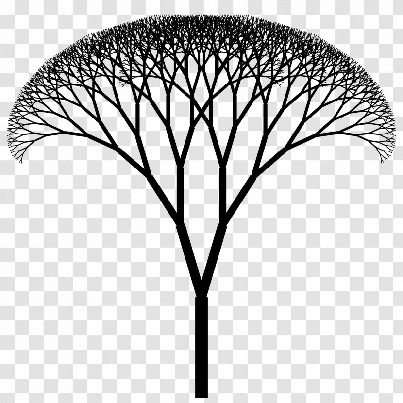 The Fractal Geometry Of Nature Canopy Art Tree Index Transparent PNG