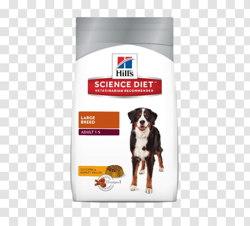 Dog Cat Puppy Science Diet Hill's Pet Nutrition - Like Mammal Transparent PNG