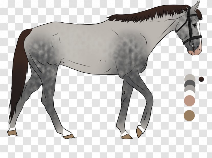 Mane Mustang Foal Stallion Mare - Bit Transparent PNG