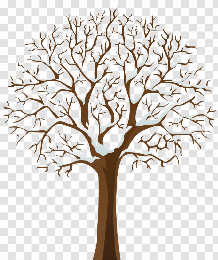 Tree Winter Branch Clip Art - Snowflake - Trees Cliparts Transparent PNG