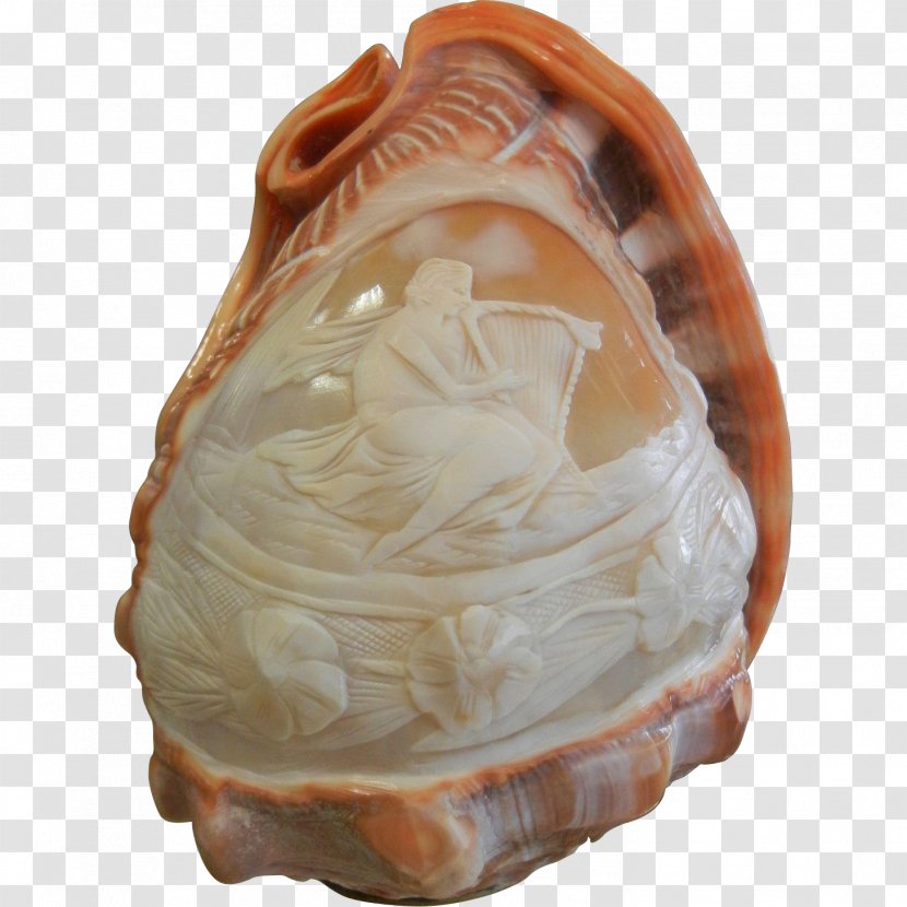 Clam Shankha Conchology - Carving Transparent PNG