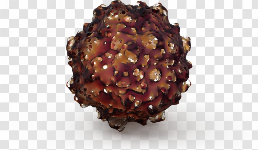 Superfood - Praline - Brush Doodle Transparent PNG