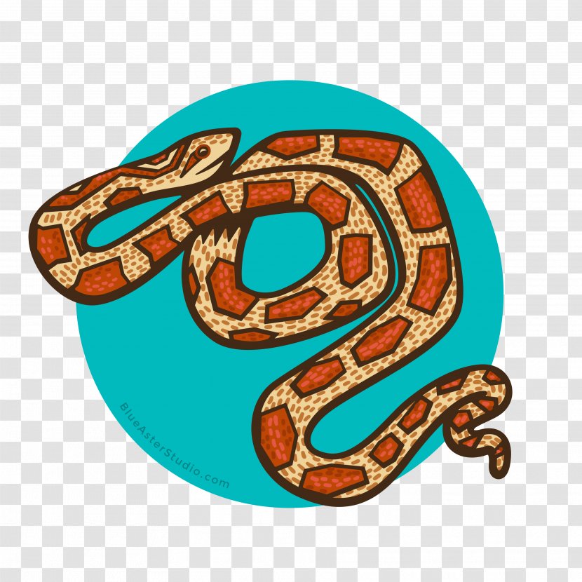 Boa Constrictor Snakes T-shirt Okeetee Corn Snake Reptile - Rattlesnake - Tshirt Transparent PNG