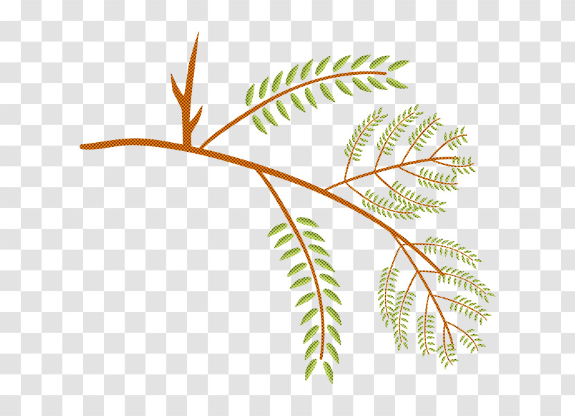 International Year Of Forests Leaf Plant Stem Twig Tree Transparent PNG