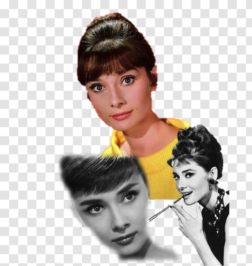 Audrey Hepburn Breakfast At Tiffany's Truman Capote Paris When It Sizzles William Holden - Brown Hair Transparent PNG