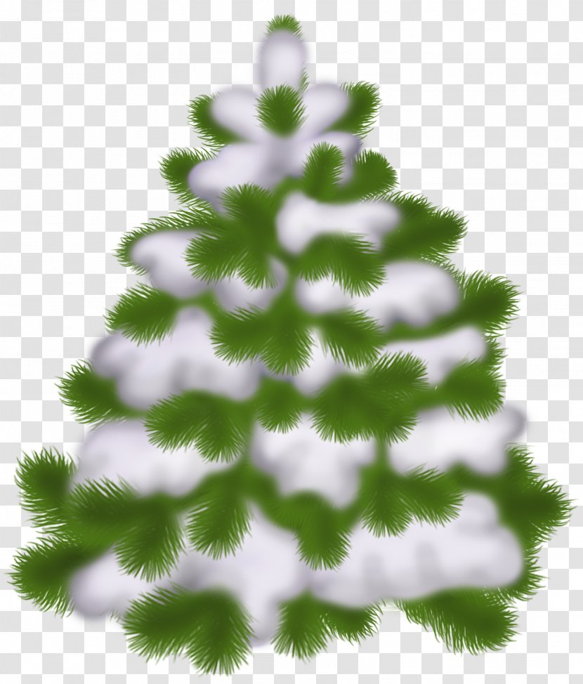 Christmas Tree Clip Art - Conifer - Transparent Snowy Transparent PNG
