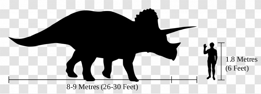Ankylosaurus Tyrannosaurus Diabloceratops Stegosaurus Styracosaurus - Ceratopsians - Dinosaur Transparent PNG