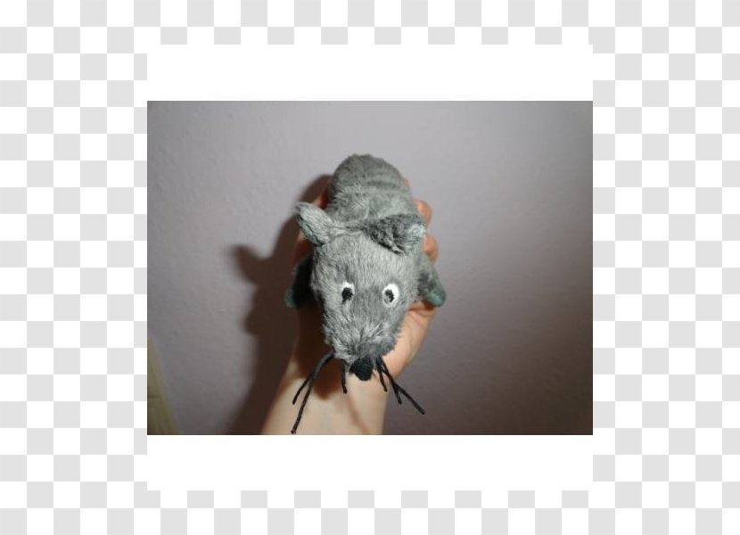 Snout - Muridae - Berrie Transparent PNG