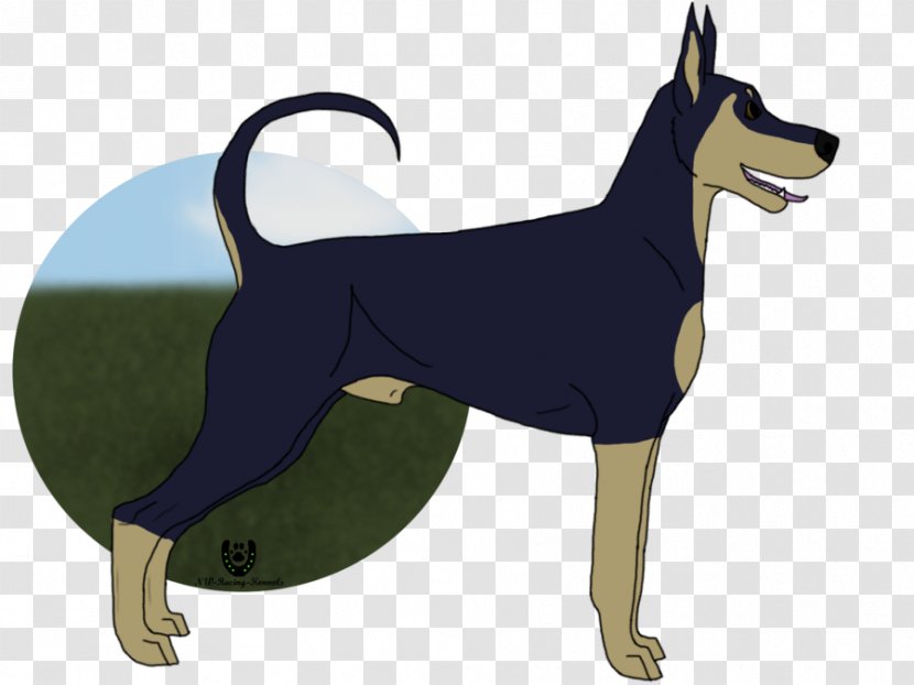 German Pinscher Dog Breed Leash - DOBERMAN PINSCHER Transparent PNG