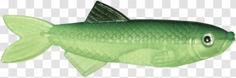 Fish Organism Clip Art - Green - Long Transparent PNG