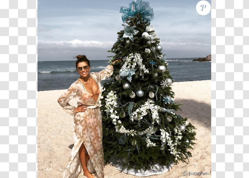 Christmas Tree And Holiday Season Gift - Watercolor - Eva Longoria Transparent PNG
