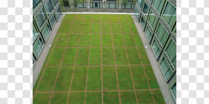 Park Hyatt Zurich Hotel Vogt Landscape Architects AG - Green Transparent PNG